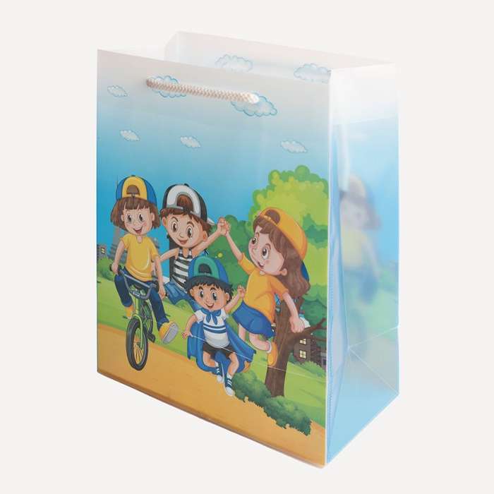 Playgroup Luxury Gift Bag