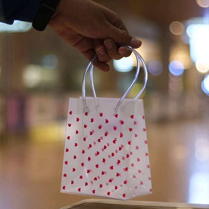 Red Heart Valentines Day Transparent Gift Bag with Loop Handle