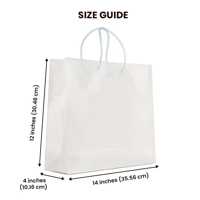 Big Transparent Luxury Gift Bag with Loop Handle and Visiting Card Slit