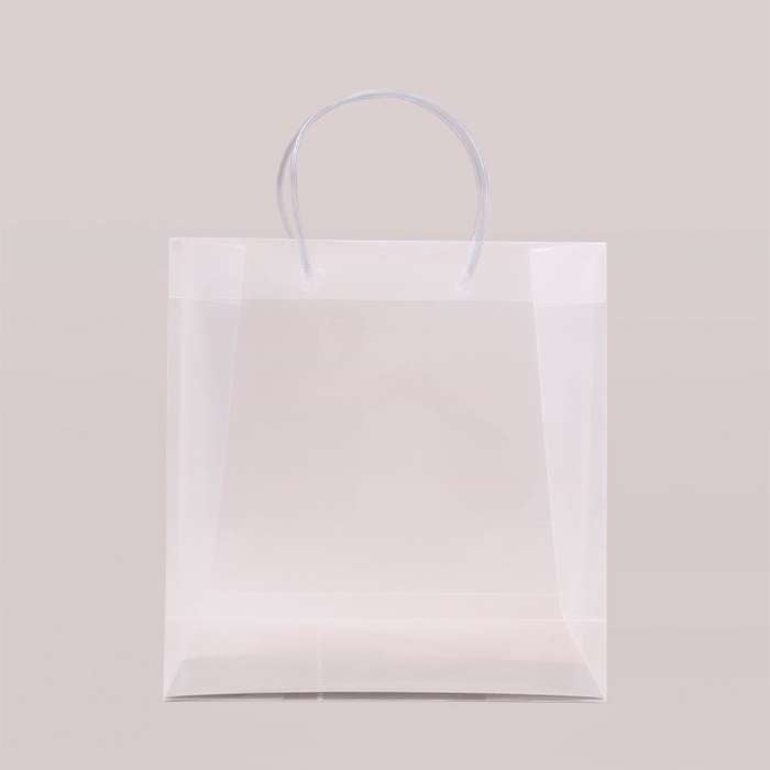 Big Transparent Luxury Gift Bag (11.5*11*4)