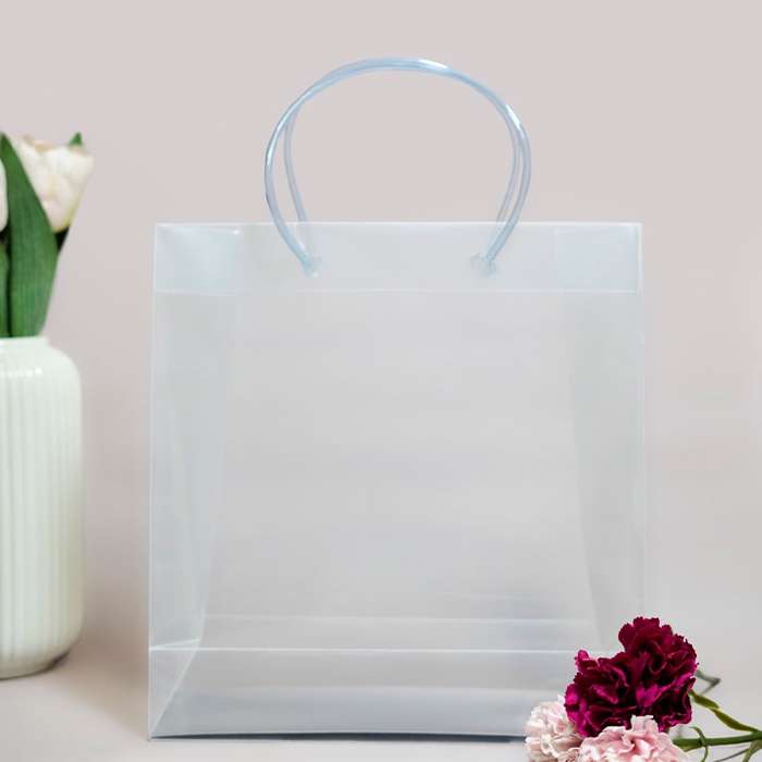 Transparent luxury gift bag loop handle (9*8*4)