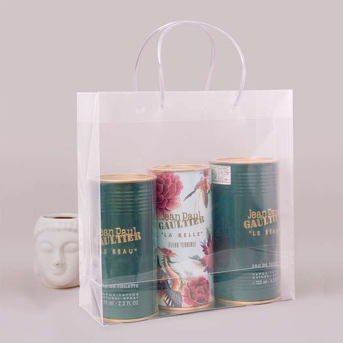 Big Transparent Luxury Gift Bag (11.5*11*4)