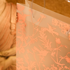 Premium Transparent rose Gold Foiled Eco-Friendly Carry Bag – Artek Signature Collection