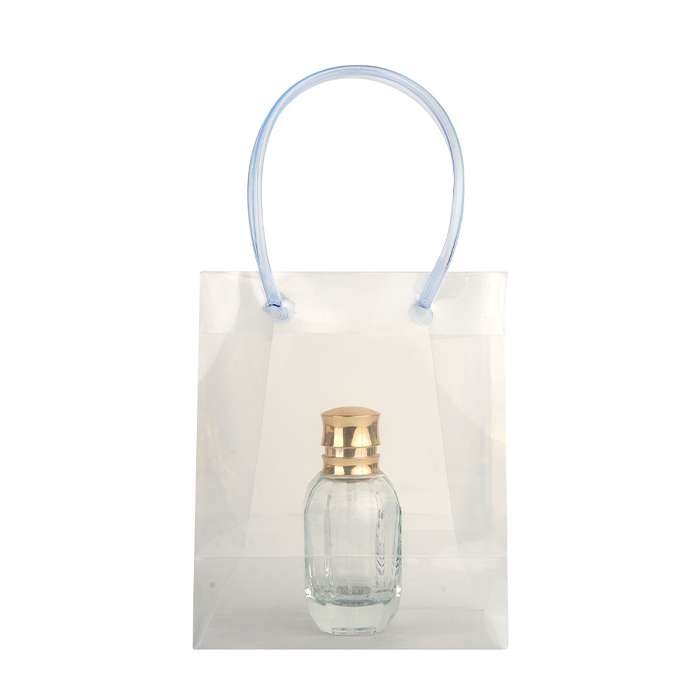 Small Transparent Luxury Gift Bag with Loop Handle