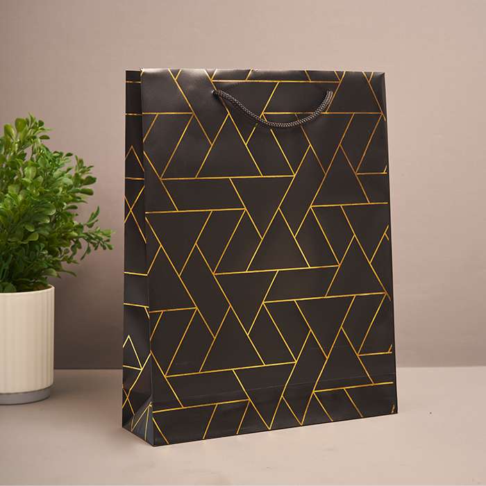 Black & Gold Luxury Gift Bag