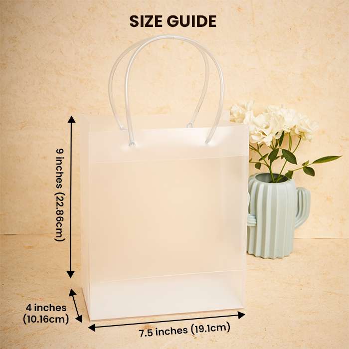 Transparent Luxury Gift Bag with Loop Handles