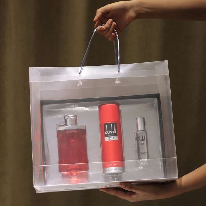 Big Transparent Luxury Gift Bag with Loop Handle and Visiting Card Slit