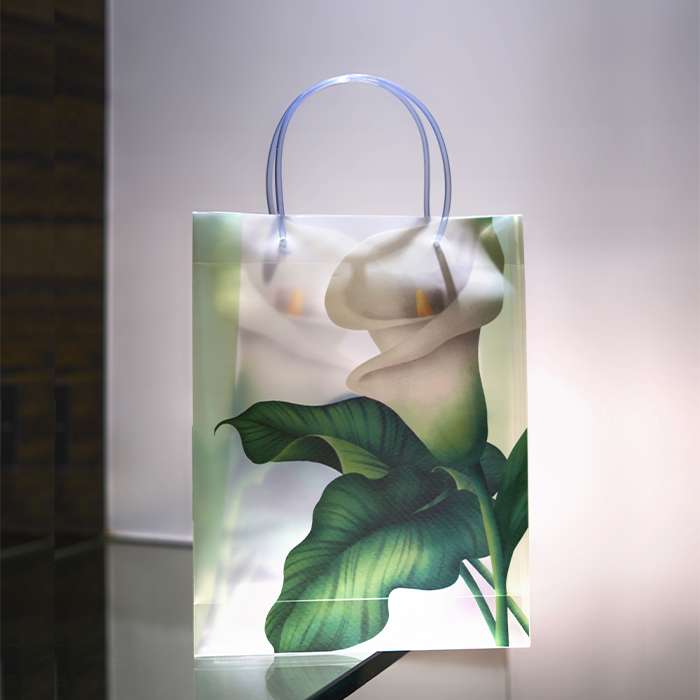 Lilly Luxury Gift Bag with Loop Handle