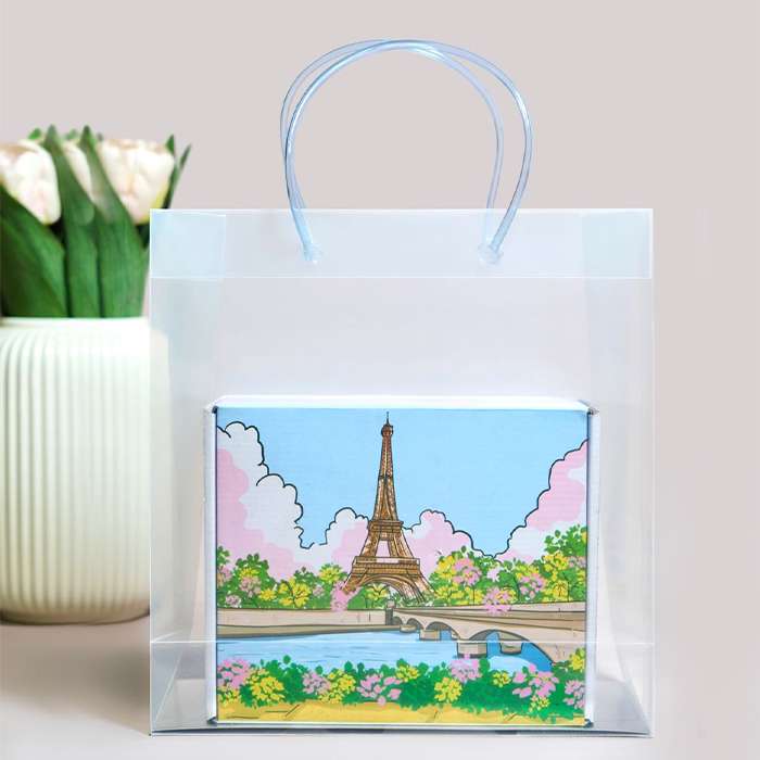 Big Transparent Luxury Gift Bag (11.5*11*4)