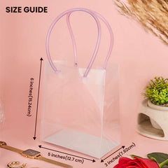 Small Transparent Luxury Gift Bag with Loop Handle