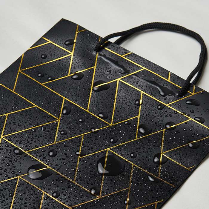 Black & Gold Luxury Gift Bag