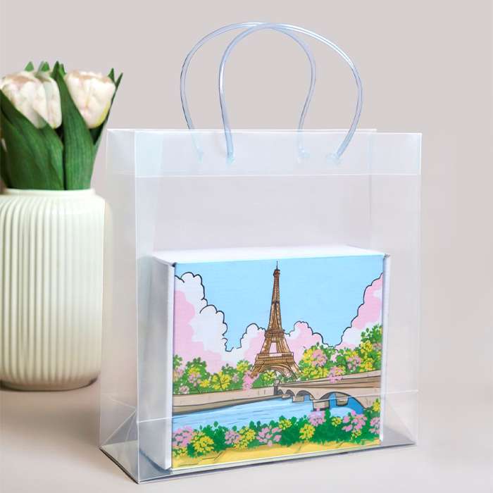 Big Transparent Luxury Gift Bag (11.5*11*4)